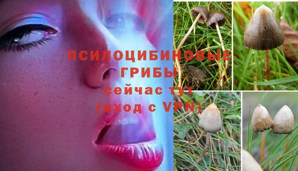 герыч Алексин