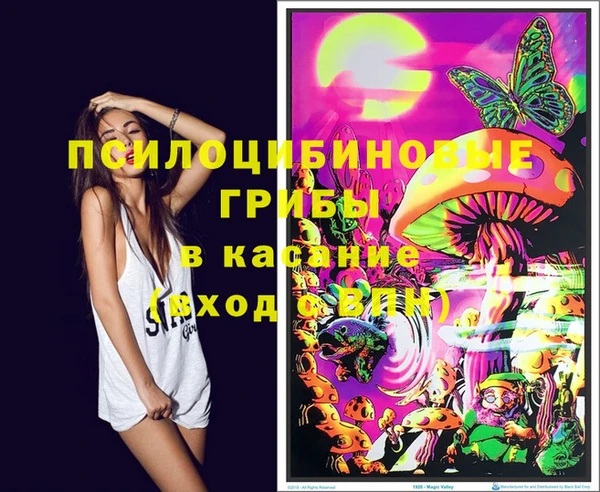 прущие крисы Алексеевка