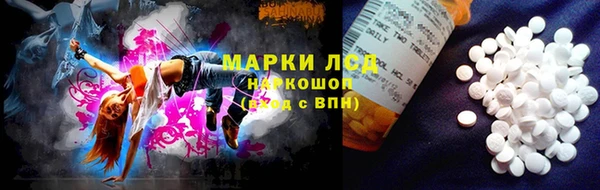 амф Алзамай